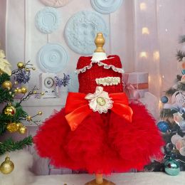 Dresses 2023 Autumn Winter Pet Dog Clothes Fashion Warm Cotton Plush Lace Tutu Princess Drses For Small Medium Dog Chihuahua Puppy Coats