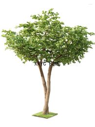 Decorative Flowers Fulutong Leaves Bonsai Solid Wood Interior Decoration Simulation On-the-Ground Green Landscape Furnishing Articles Fake