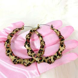 Charm Y2K Leopard Print Earrings Sexy Charms Round Hoops Earrings Women Fashion Jewellery Korean Charm Accessories Earrings Cute Y240423