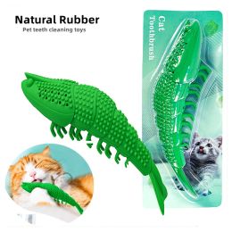 Heads Cat Toothbrush Catnip Toy Cat Interactive Games Durable Hard Rubber 360 Degree Cleaning Dot Toothbrush Chew Toy Pet Dog Toy