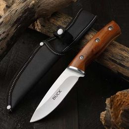 1pc Outdoor High Hardness Fruit Knife, EDC Convenient Straight Knife, Multi-purpose Camping Knife, Survival Knife, BBQ Knife