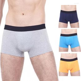 Underpants Plus Size M-5XL Cotton Men Boxer Sexy Underwear Solid Boxershorts Mens Shorts Cuecas Masculina Sous Vetement Ropa De Hombre