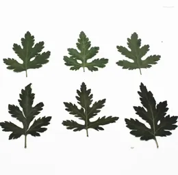 Decorative Flowers 120pcs Pressed Dried Selaginella Uncinata Filler For Epoxy Resin Jewellery Making Postcard Frame Phone Case Craft DIY