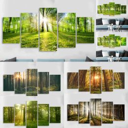 5 Piece Forest Canvas Painting Wall Art Landscape Posters and Prints Sunshine Through the Trees Pictures Wall Art Living Room