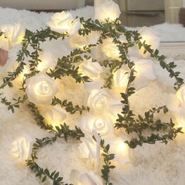 Decorative Flowers 6M 40led PE Foam Rose Lamp Valentine's Day Proposal Festival Party Decoration String Dormitory Bedside LED