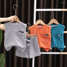 Clothing Sets Fashion Children Boys Girls Clothes Summer Baby O-Neck Solid Vest Shorts 2Pcs/Set Infant Kids Cartoon Toddler Tracksuits