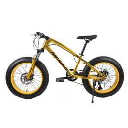 Bicycle 20 inch fat bike 4.0 fat Tyre bicycle ladies beach snow bike 7/21/24/27 speed mountain bicycle for aldult dual disc brake bike