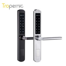 Control IP66 TTlock Electronic Lock Handle for Hotel Smart keypad Rfid Sliding Door Locks