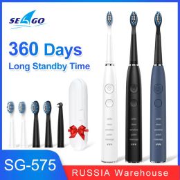 Heads Seago Electric Sonic Toothbrush 360 Days Long Standby Time Waterproof USB Rechargeable with 5 Brush Heads SG575