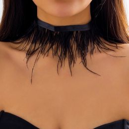 Necklaces Unique Black Feather Short Choker Necklace for Women Jewellery On The Neck New In Trendy Collar Ladies Party Punk Gifts Summer