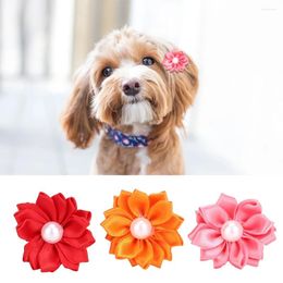 Dog Apparel 30PCS Colourful Pet Hair Bows With Pearl Decor For Puppy Small Cats Grooming Accessories