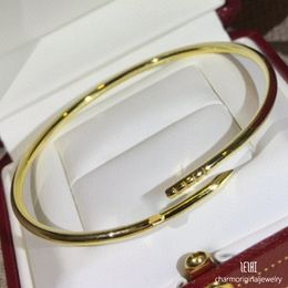 thin nail bracelet designer for woman small model nail bracelet jewelry bracelet dainty bracelets bangle jewelry woman designer jewellery screw bracelet designer