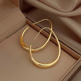 Earrings Hot Sale 925 Silver Needle Geometric Oval Hoop Earrings For Women Simple Desgin Earrings Party Wedding Jewellery eh2008