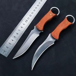 Outdoor Portable Fixed Blade Knife for Men Camping Survival Self Defence High Hardness Household Daily Multifunction Fruit Knife