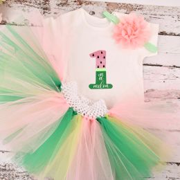 Sets Baby Girls Watermelon Birthday Tutu outfit 1st Birthday Party costume Toddler Photo Props Cake Smash Summer Clothes Set 024M