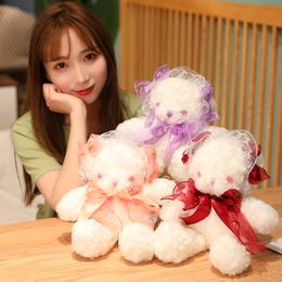 Beautiful New Cute Bear Plush Toy Doll with Colourful Eyes Little Bear Doll Plush Doll Bear Doll Toy