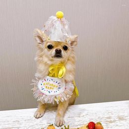 Dog Apparel 2024 Ins Sweet Party Birthday Hat Bib Cat Pet Saliva Pocket Towel Small Pets Cute Hats For Cats