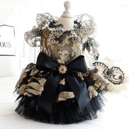 Dog Apparel Black Colour Lace Design Luxury Designer Clothes For Summer Pet Wedding Dress Gold Hollow Pets