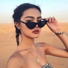 Accessories Vintage Triangle Cat Eye Women Sunglasses Personality PC Frame Resin Lens Travel Eyewear Fishing Glasses Riding Glasses Goggles