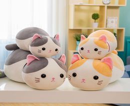 Plush toy software cat teacher doll cute kitten doll girls like gifts6183532