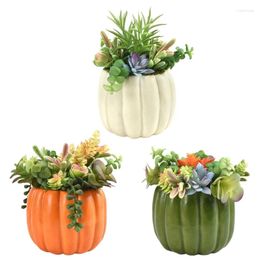 Decorative Flowers Artificial Succulents Potted Fake Plant With Pots For Greenery Decorations 95