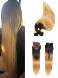 T1B 27 Dark Root Honey Blonde Straight Ombre Human Hair Weave 3 Bundles with 4x4 Lace Closure Cheap Coloured Brazilian Virgin Hair 8866703