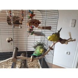 Toys Pet Parrot Wooden Perch Stand Hanging Climbing Hammock Swing Standing Training Toys Bird Cage Wood Branch Stand Cage Accessories
