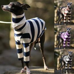 Jackets Italian Greyhound Clothes Winter Warm Striped Whippet Clothes Twolegged Dog Pullover Clothing Greyhound Clothes Dog Hoodie