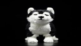 25CM Siberian Husky Dog Plush Toy W BrownBlue Eyes Lifelike Alaskan Malamute Stuffed Animal Toys Christmas Gifts LJ2011269847034