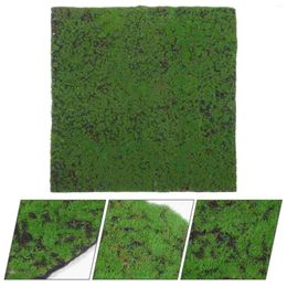 Decorative Flowers Simulated Green Plant Wall Moss 50x50 Artificial For Landscaping Micro Landscape Decoration Fake Turf