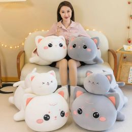 Toys Squishy Kawaii Cat Doll Plush Toy Lying Big Eyes Emotional Grey White Kitten Soft Pillow Appeasing Kids Present