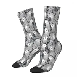 Men's Socks Grey Parrots Africa Male Mens Women Spring Stockings Hip Hop