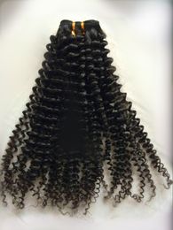 brazilian kinky curly hair bundles unprocessed virgin curly human hair extensions 1428 inch brazilian virgin hair weaves