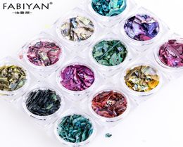 12 Colour Nail Art Decoration Irregular Shell Paper Flake Slice Sequins Fragment 12 Box Beautiful Import Abalone Shell Piece 3D6033185