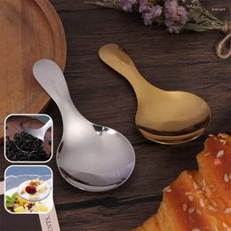 Coffee Scoops Salt Spoon Mini Sugar Spice Spoons Short Handle Round Head Stainless Steel Tea Scoop For Kitchen Accessories