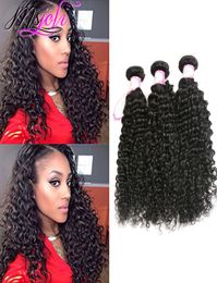 Whole 9A Brazilian Virgin Hair Deep Wave Unprocessed Brazilian Deep Curly Wave Human Hair Extensions Deep wave Hair 3Pcs3283515