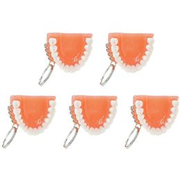 Fashion Teeth Keychain Toy Resin Molded Teeth Upper Jaw Model Shape Artificial Teeth Keychain Pendant Keychain Dental Clinic Promotion Gift