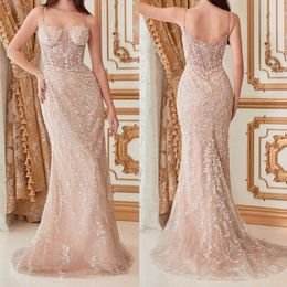 Simple Mermaid Evening Dresses Spaghetti Straps Sleeveless Prom Gowns Women Appliques Sweep Train Celebrity Dress Custom Made