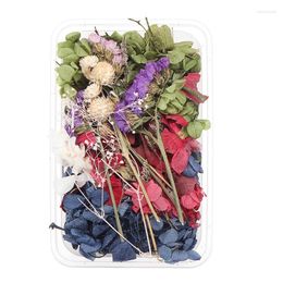 Decorative Flowers 1Box Real Dried Leaf Plant Herbarium Craft Jewelry Making Casting Tool For DIY Mobile Phone Shell