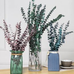 Decorative Flowers 10 Pcs Natural Dried Eucalyptus Leaves Flower Real Plant Branches Stems DIY Bouquet Material Wedding Home Party Items