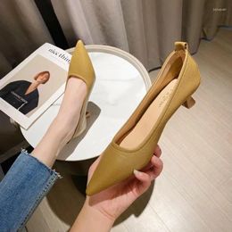 Dress Shoes Wine Cup Heel Fashion Single Shoe Women's 2024 Summer Mid Pointed Shallow Mouth Slim Commuter High Work