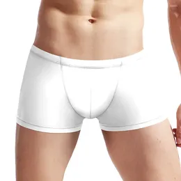 Underpants 1pc Men's Sexy Translucence Boxers Shorts Lingerie Mesh Boxer Briefs Jockstrap Pouch Trunks Male Panties Underwear