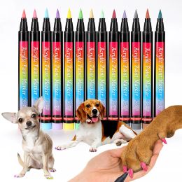 Polish Graffiti Nail Pen For Pets Dog Cat Gift 3D Nail Art DIY Nail Polish Pen Waterproof Acrylic Paint Marker Brush Manicure Tools