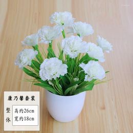 Decorative Flowers 18x26cm Artificial Carnation Flower Bonsai Home Balcony Living Room Bedroom Desktop Ornament Party Decor Potted Fake