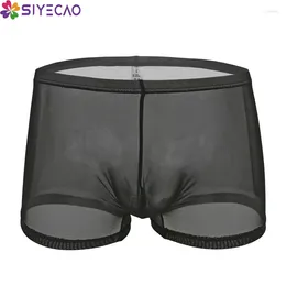 Underpants Mens Boxer Sexy Underwear Transparent See Through Solid Shorts Male Panties Gay Breathable Cueca Gift For