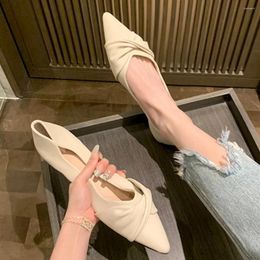 Casual Shoes Elegant Cozy Pleated Flat Heels Women Pointed Toe Soft Bottom Zapatos Mujer Slip On Fashion Breathable Chaussures Femme