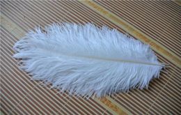 100pcslot 1416inch 3540cm white Ostrich Feathers plumes for wedding Centrepiece decor wedding party event supplise3343932