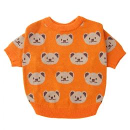 Hoodies Pet Autumn and Winter Sweater Bear Cartoon Sweater Dog Cat Warm Clothes Luxury Dog Clothes Designer Dog Clothes Schnauzer