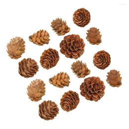 Decorative Flowers 100 Pcs Christmas Decorations Songhwa Po Props Mini Pine Cone Dried Cones