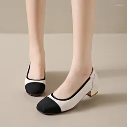 Casual Shoes Round Toe Shallow Mouth Breathable Color Matching Fashion Women's Summer Elegant And Comfortable Low Heels